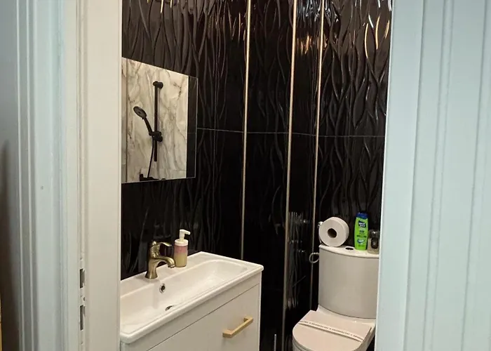 New Times 부쿠레슈티