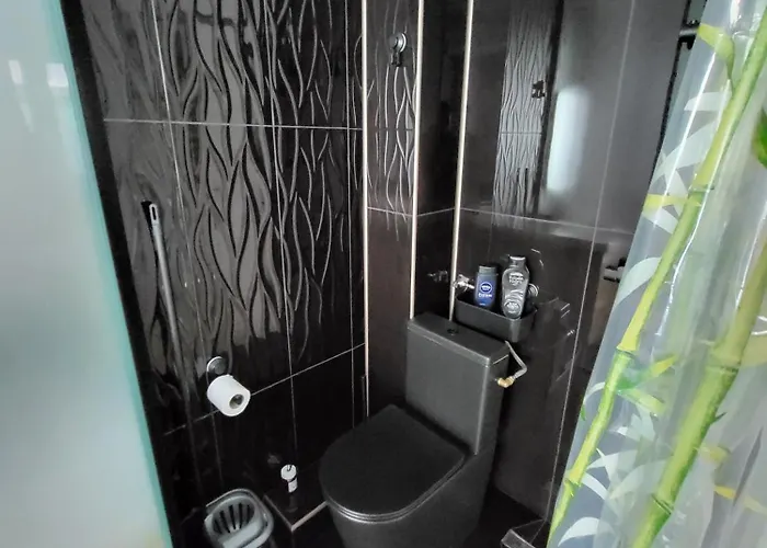 New Times 부쿠레슈티